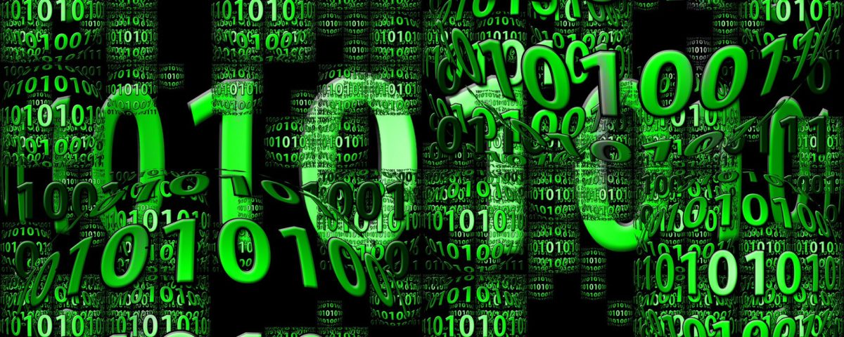 קריירה בתחום הייטק